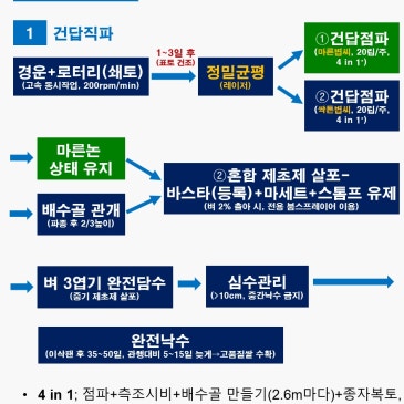 마른논 써레질(무써레) 벼 재배 신기술 7가지 유형