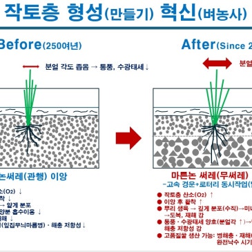 벼농사 작토층 만들기 대혁신_마른논써레(무써레) 이앙/직파