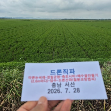 벼농사 쌀농사 "최고봉 끝판왕_드론직파" 현장