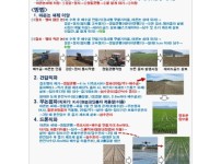 마른논 써레 이앙 또는 직파재배 신기술 매뉴얼 및 벤치마킹 사례